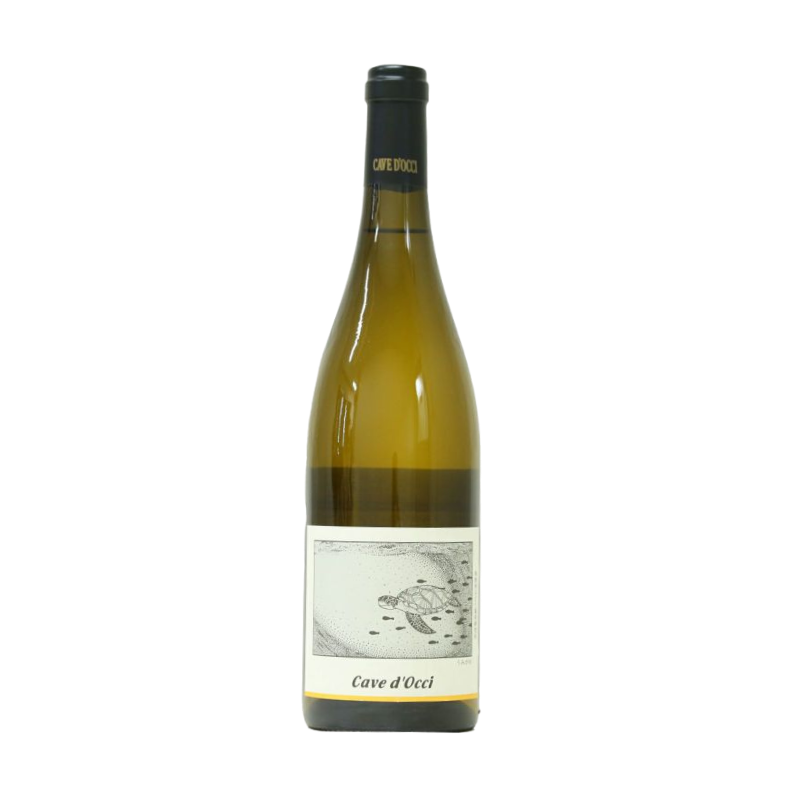 Curve Dotch / Sauvignon 2021 (white)