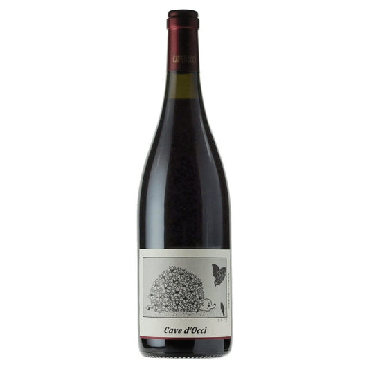 Curve Dotch / Anaguma (Sanjobese) 2019 (Red)